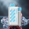 VOZOL VISTA 40000 Puffs Oplaadbare MTL Vape met Display & Mesh Coil - Blauwe Framboos Ijs